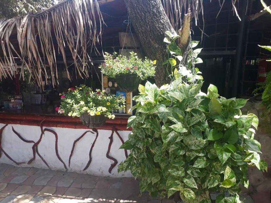 Hotel El Penon De Constantino - Tatacoa Villavieja Esterno foto